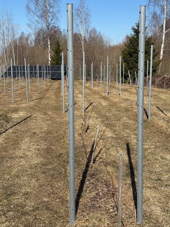 Cinkoti metāla atbalsta stabi vīnkokiem un citām kultūrām
